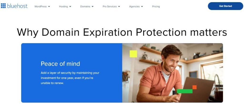 Domain Expiration Protection